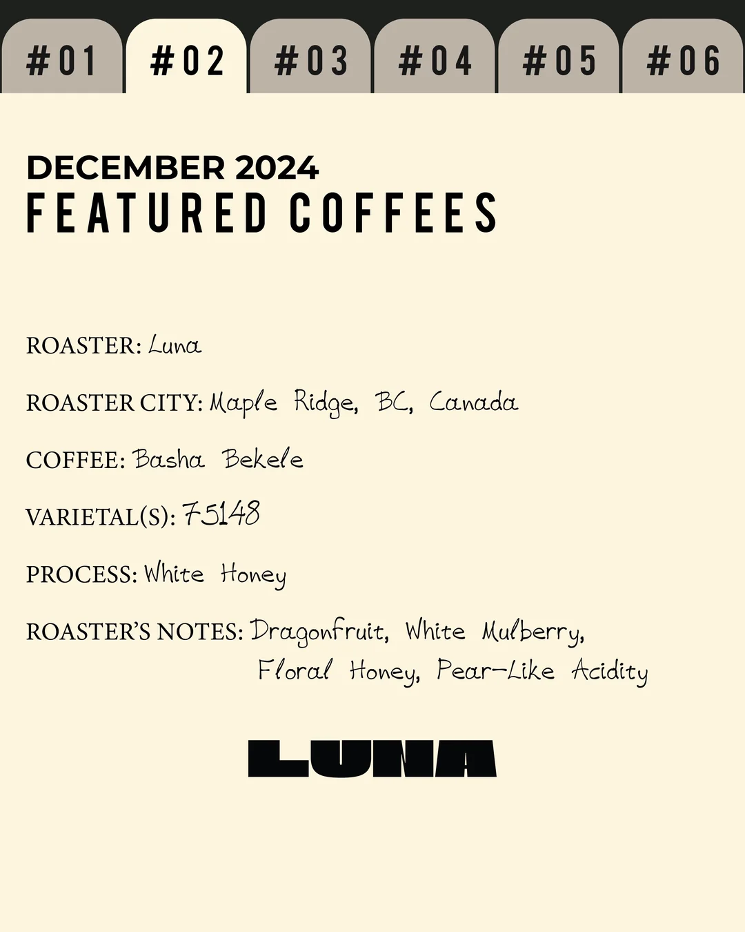 Volume 2, December 2024 — feature #02
