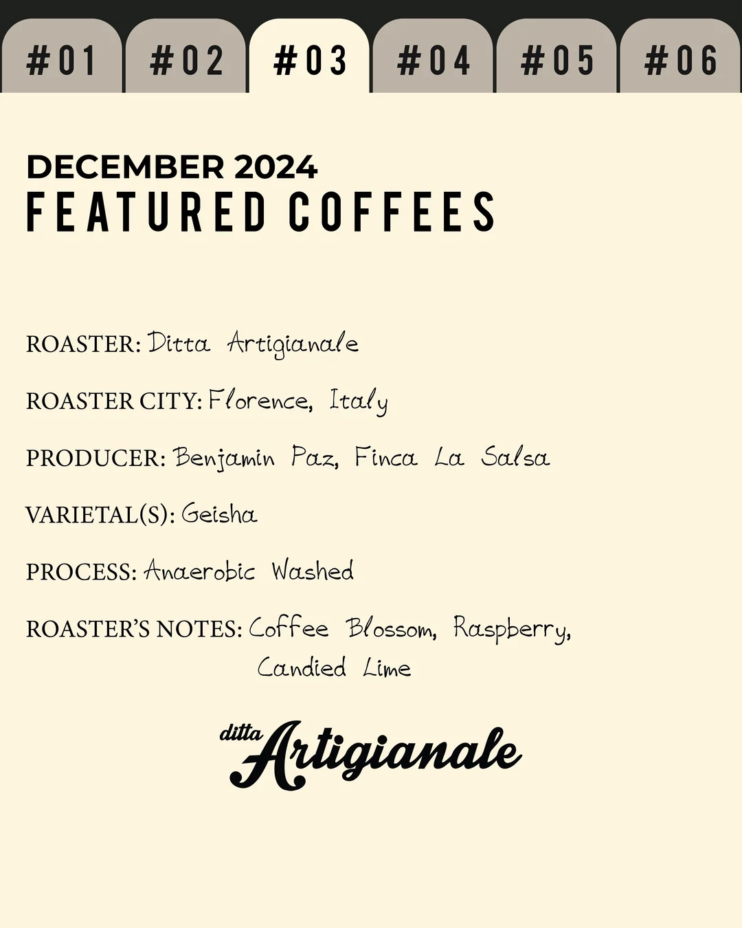 Volume 2, December 2024 — feature #03