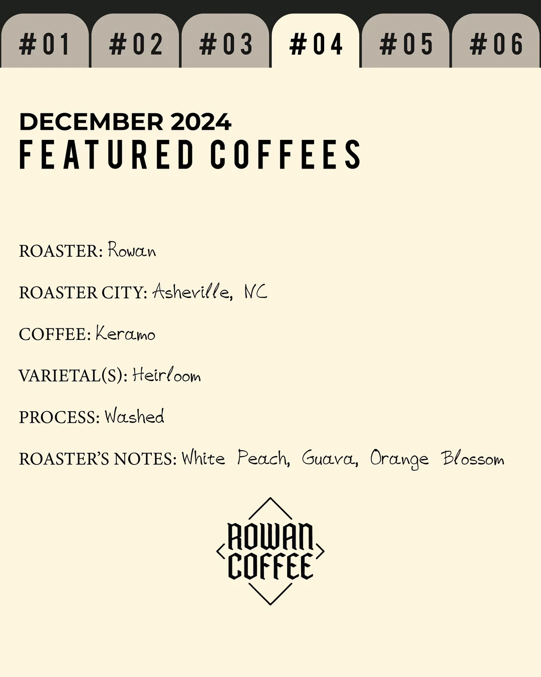 Volume 2, December 2024 — feature #04