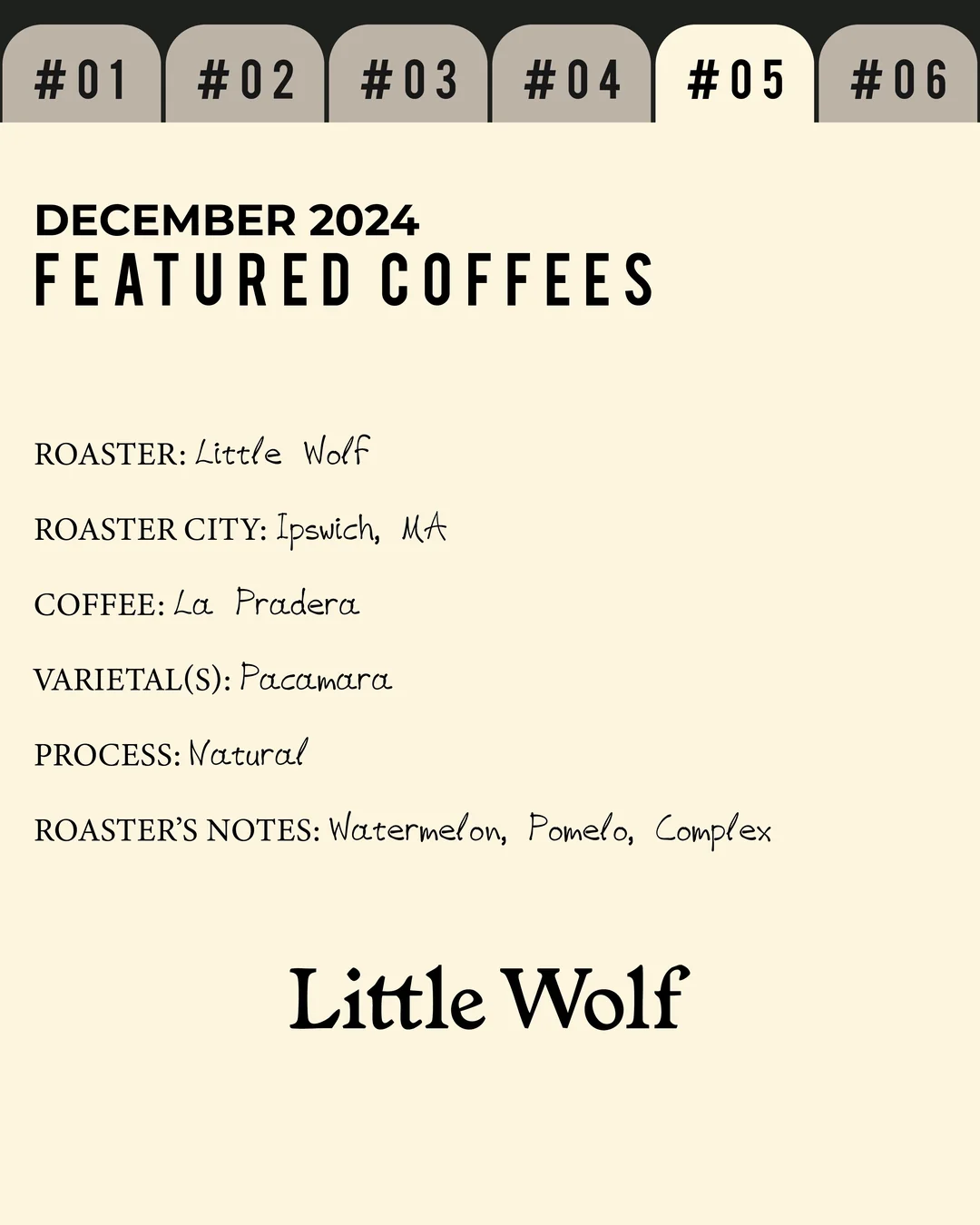 Volume 2, December 2024 — feature #05