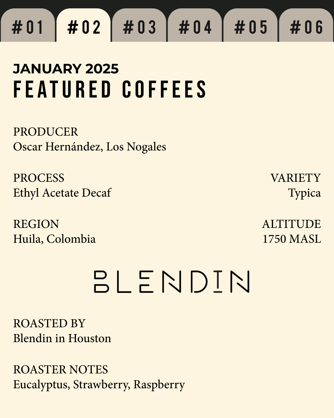 Volume 3, January 2025 — feature #02