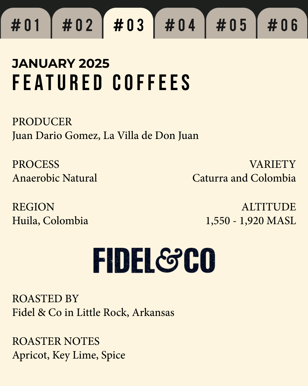 Volume 3, January 2025 — feature #03