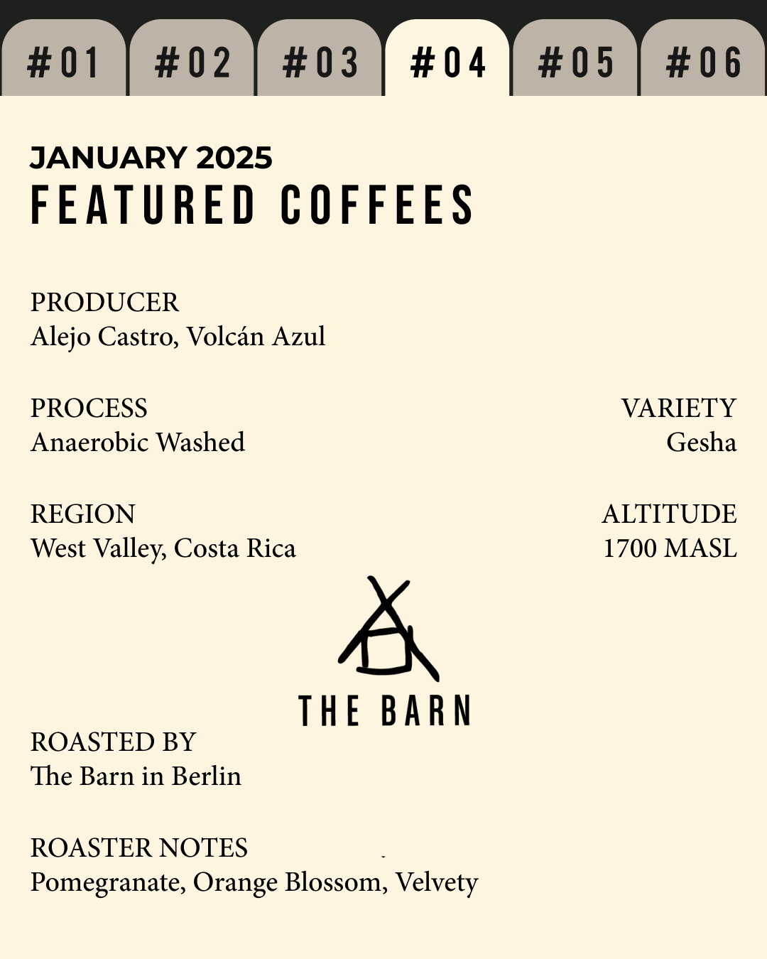 Volume 3, January 2025 — feature #04