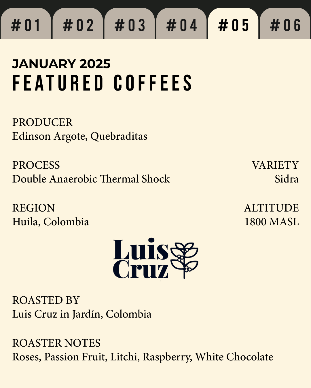 Volume 3, January 2025 — feature #05
