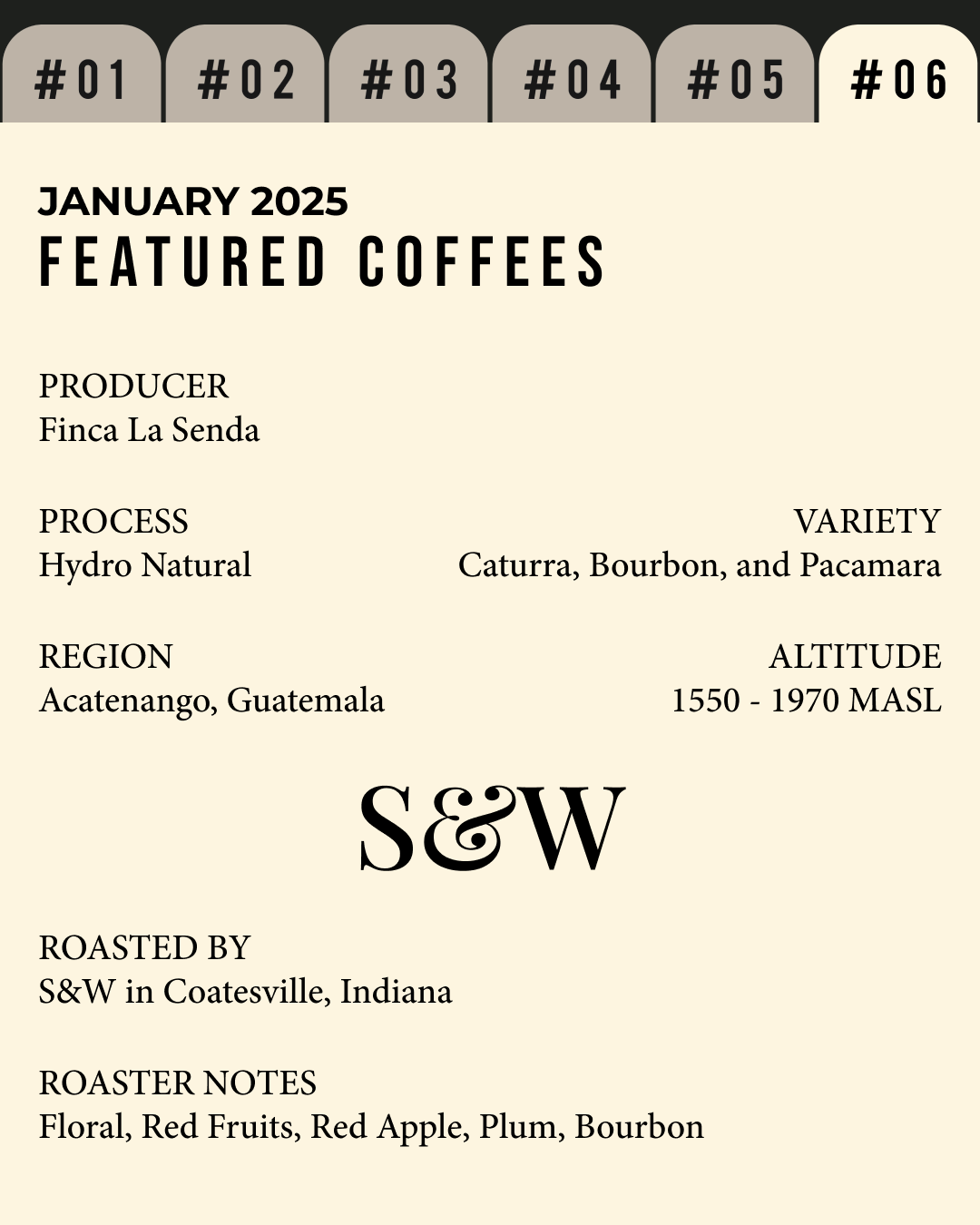 Volume 3, January 2025 — feature #06