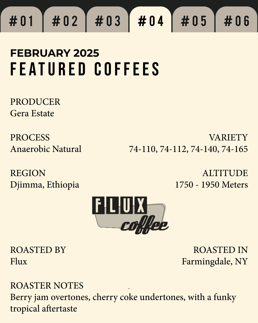 Volume 4, February 2025 — feature #04