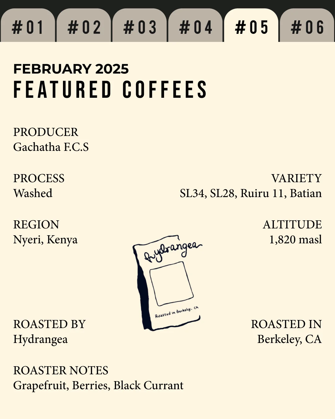 Volume 4, February 2025 — feature #05