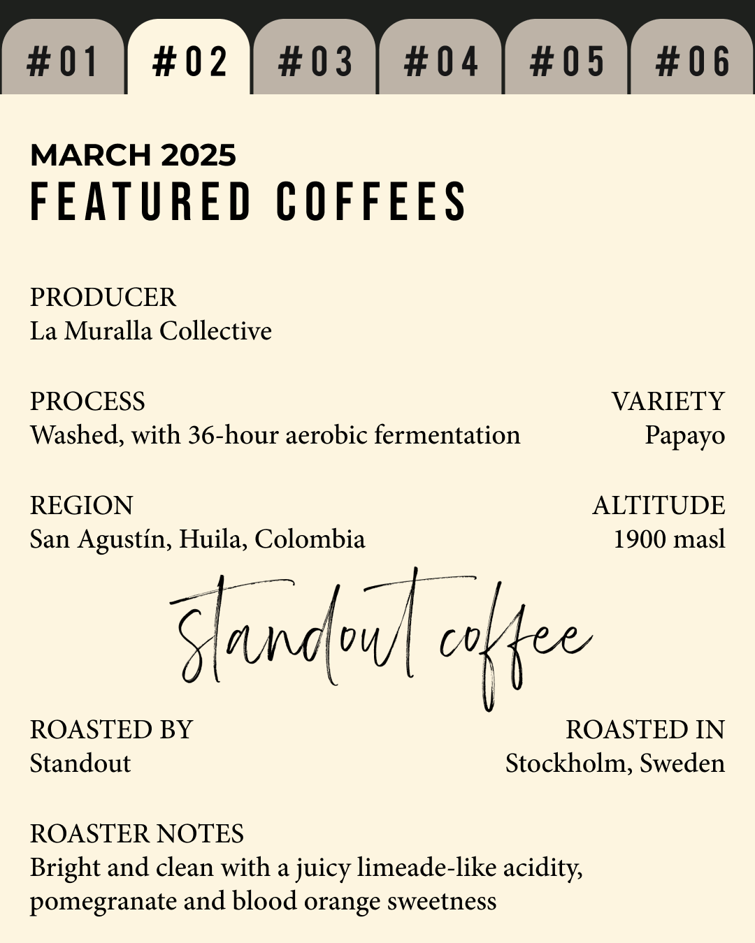 Volume 5, March 2025 — feature #02