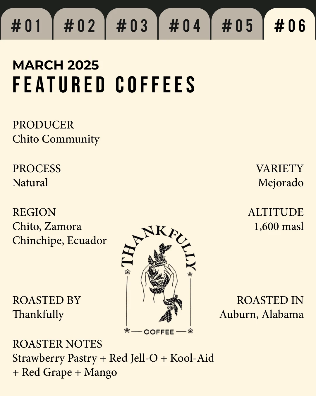 Volume 5, March 2025 — feature #06