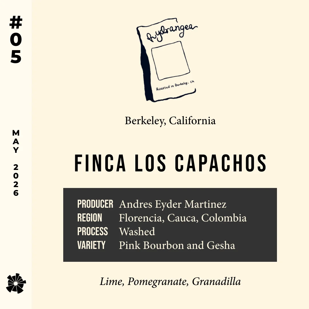 Volume 19, May 2026 — feature #05